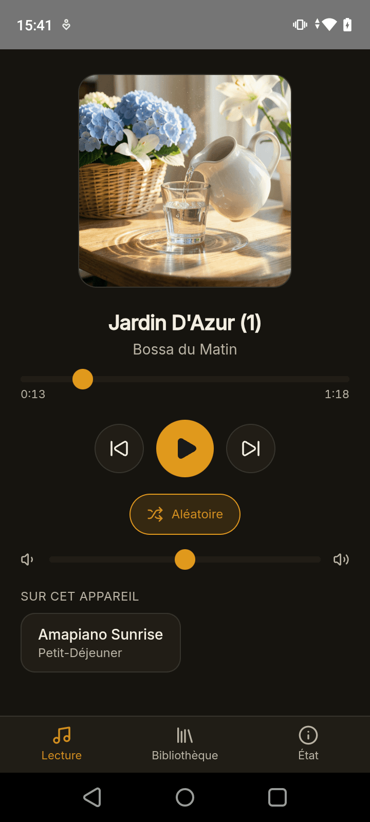 Écran de lecture de l’application Android Bourdonia